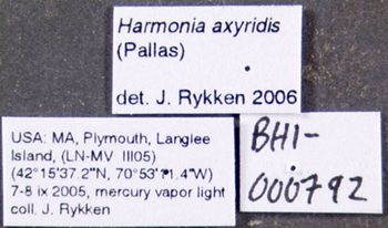 Media type: image;   Entomology 602432 Aspect: labels